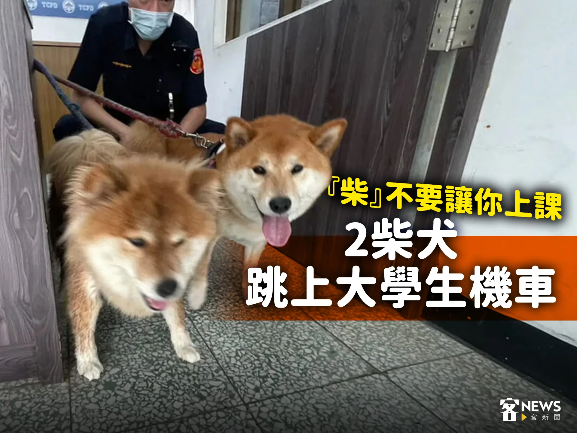 『柴』不要讓你上課　2柴犬跳上大學生機車's story cover image